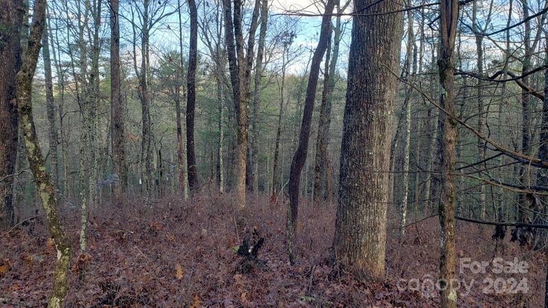 TBD Cedar Lane, Brevard, NC -  - $299,000