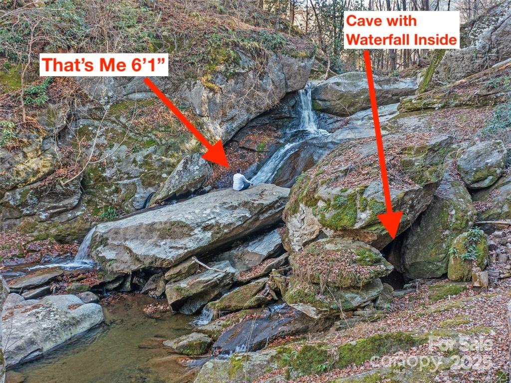 23 Katies 145.95 acres, Marshall, NC. property listing photo