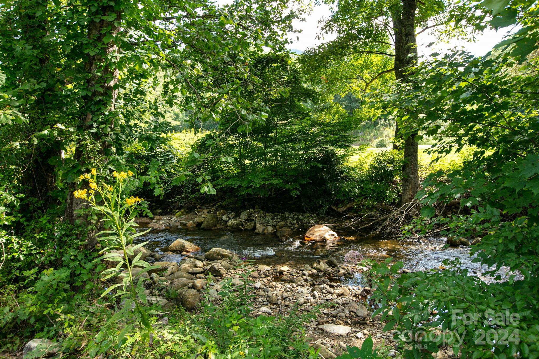 00000 Scout Trail Apt 15, Canton, NC. property listing photo