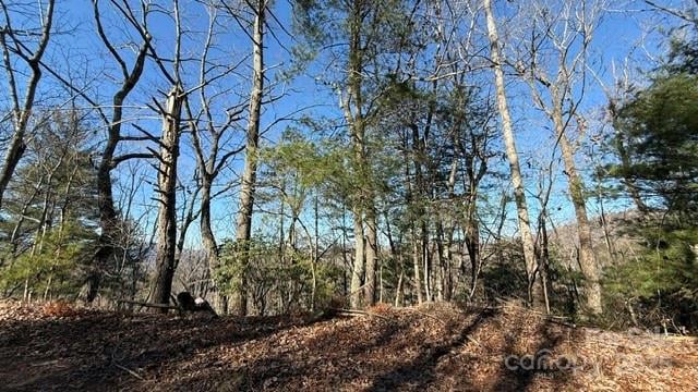 0 Bird Dog Boulevard, Lake Lure, NC -  - $8,900