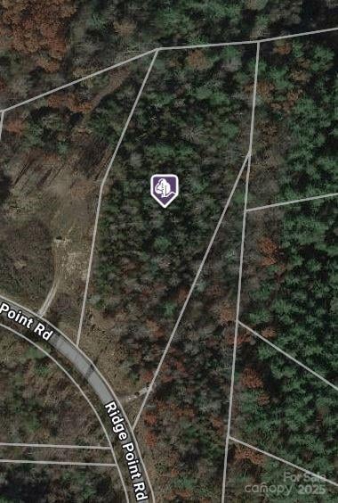 507 Ridge Point Road, Nebo, NC -  - $149,000