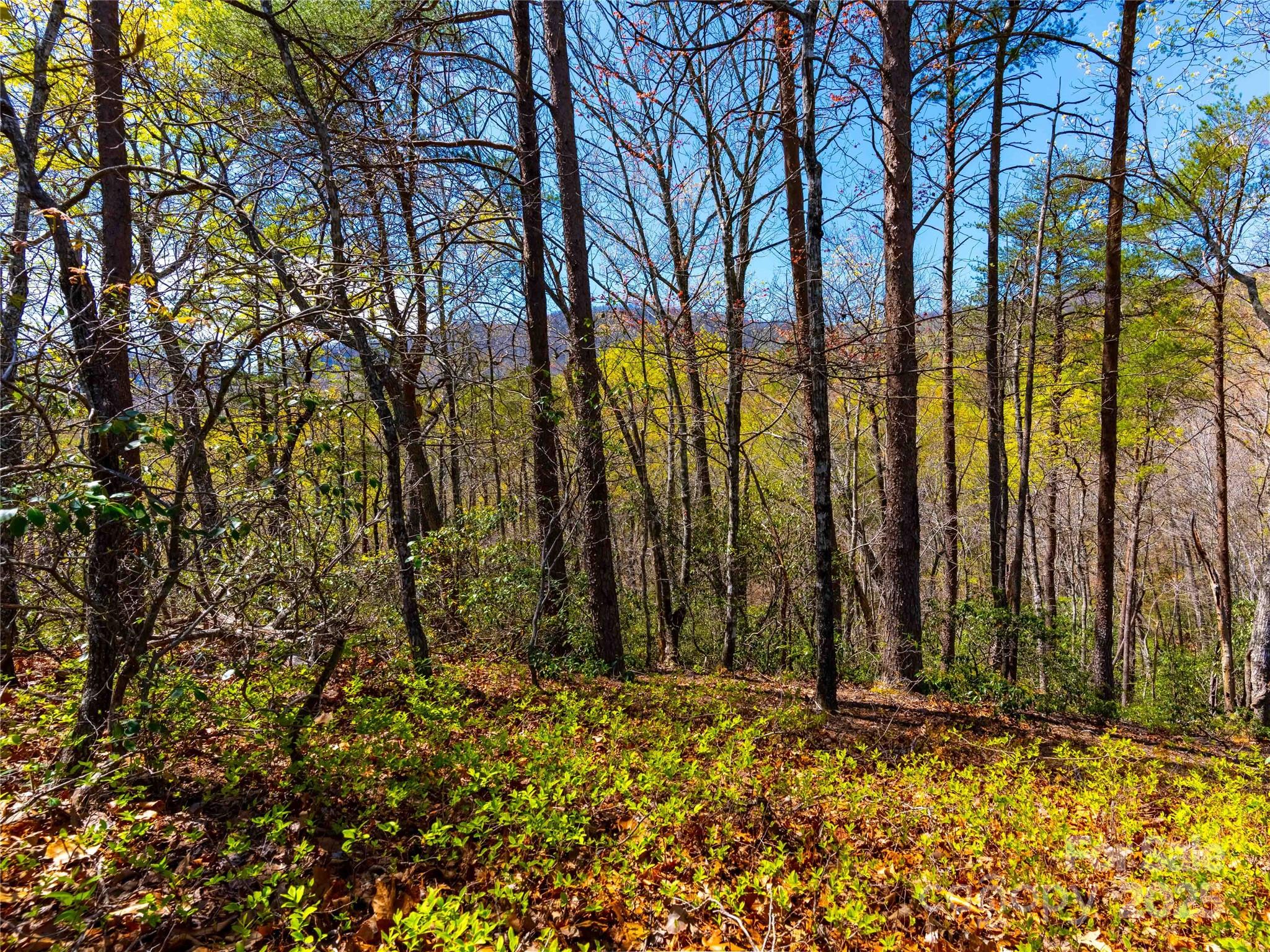 107 Deep Gap Road E, Mill Spring, NC. property listing photo