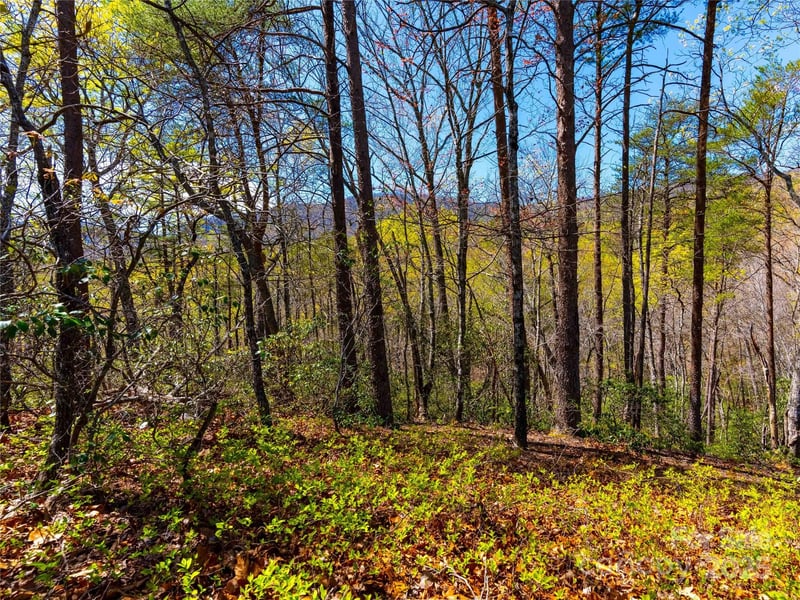 107 Deep Gap Road E, Mill Spring, NC -  - $145,000