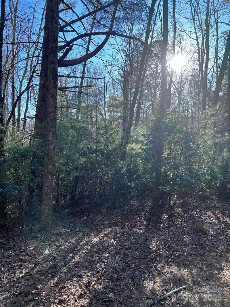 L26 Konnaneeta Trail U03 L026, Brevard, NC -  - $20,000