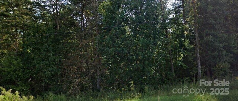 3180 Old Shelby Road, Hickory, NC -  - $34,900