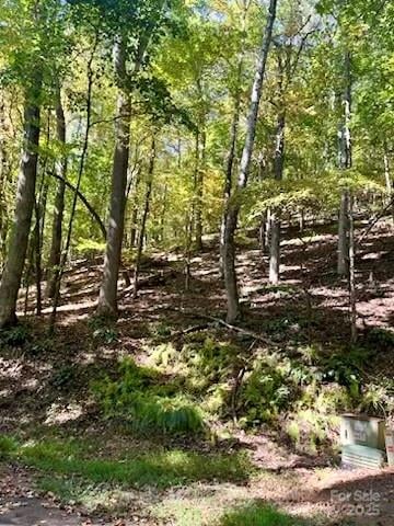 TBD Hickory Vista Lane 101, 102, 103, 106, 107, Mills River, NC -  - $235,000