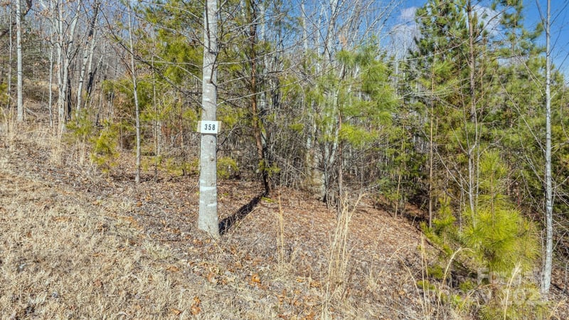 TBD Coal Pit Mountain Road, Nebo, NC -  - $73,999