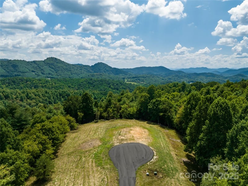 101 Red Maple Run Apt 1, Marshall, NC -  - $295,000