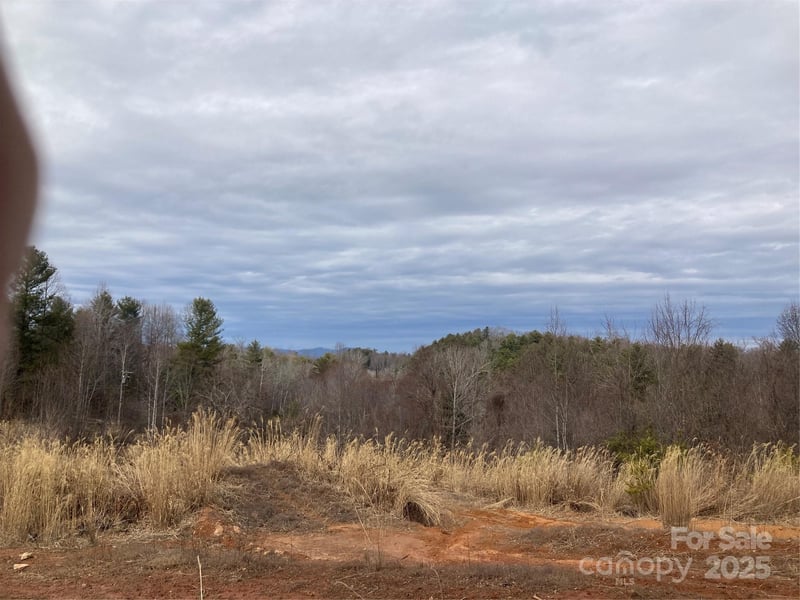 1638 Continental Divide Road Apt 1, Flat Rock, NC -  - $319,000