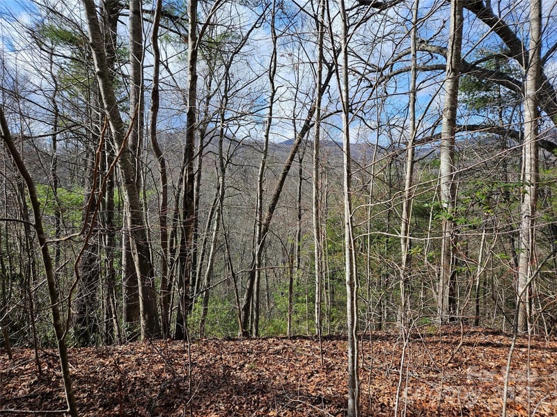 00 Wispy Willow Drive Apt 24T, Waynesville, NC -  - $24,900