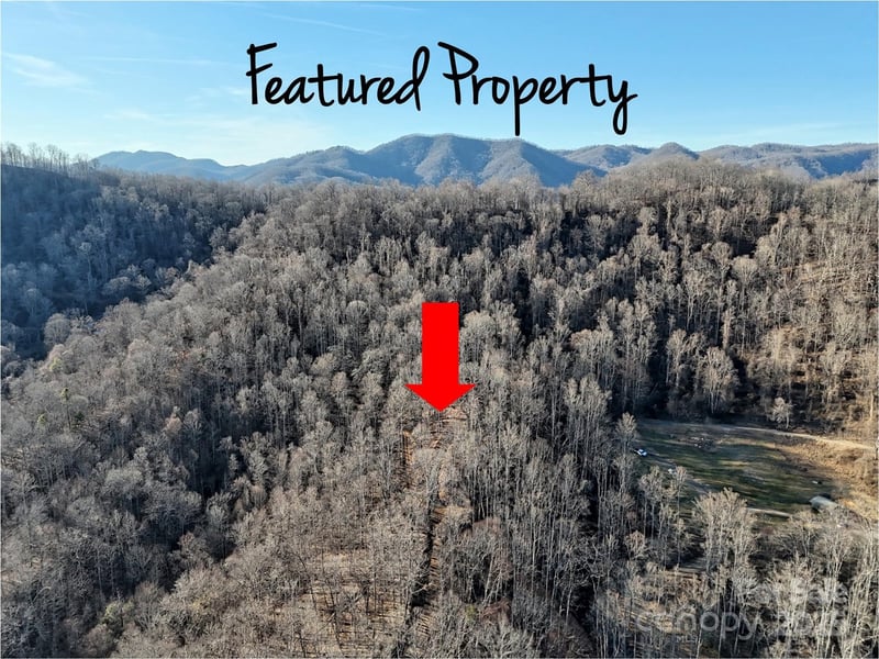 672 Porters Ridge, Canton, NC -  - $119,900