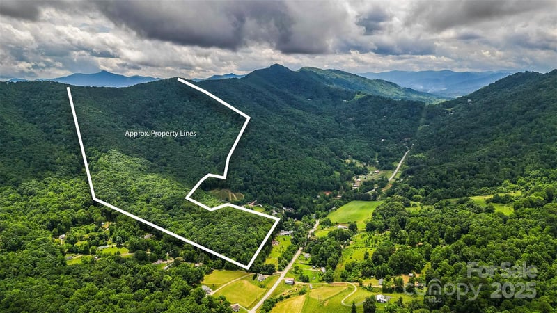 99999 Dark Cove Road, Leicester, NC -  - $739,000