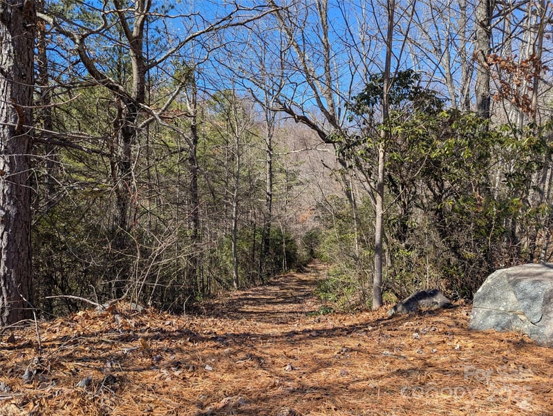 94 Trillium Lane C-2, Black Mountain, NC -  - $35,000