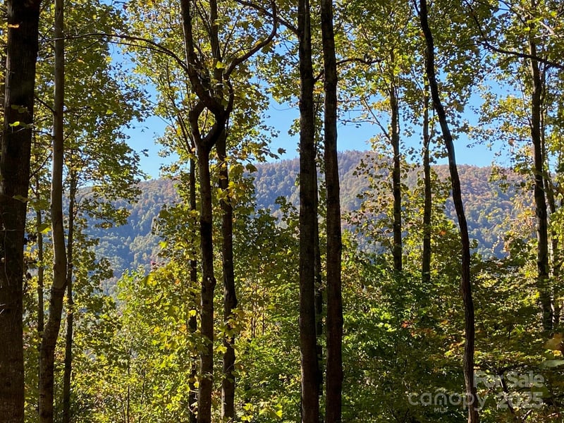 501 Warbler Lane T-62, Black Mountain, NC -  - $75,000