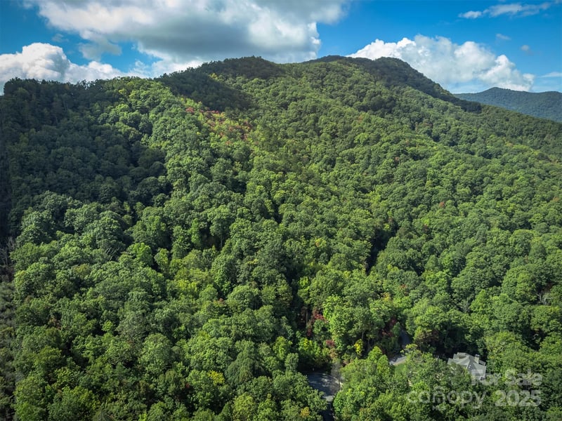 66 Sisters View Drive Apt 159, Black Mountain, NC -  - $598,900