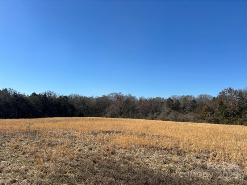62 Ac Bridgewater Road, Rock Hill, SC -  - $1,500,000