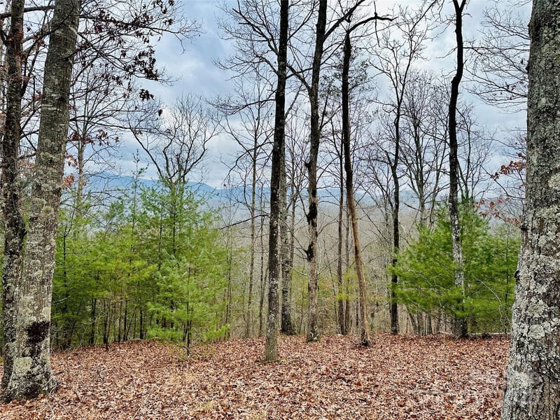 275 Raccoon Run Apt 24, Marshall, NC -  - $155,000