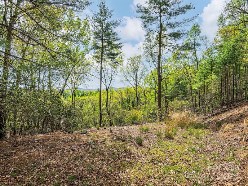Lot #56 Winterberry Drive, Hendersonville, NC -  - $130,000