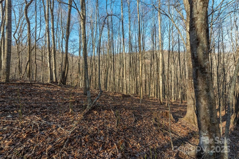 885 Stoney Stream Lane, Arden, NC -  - $95,000