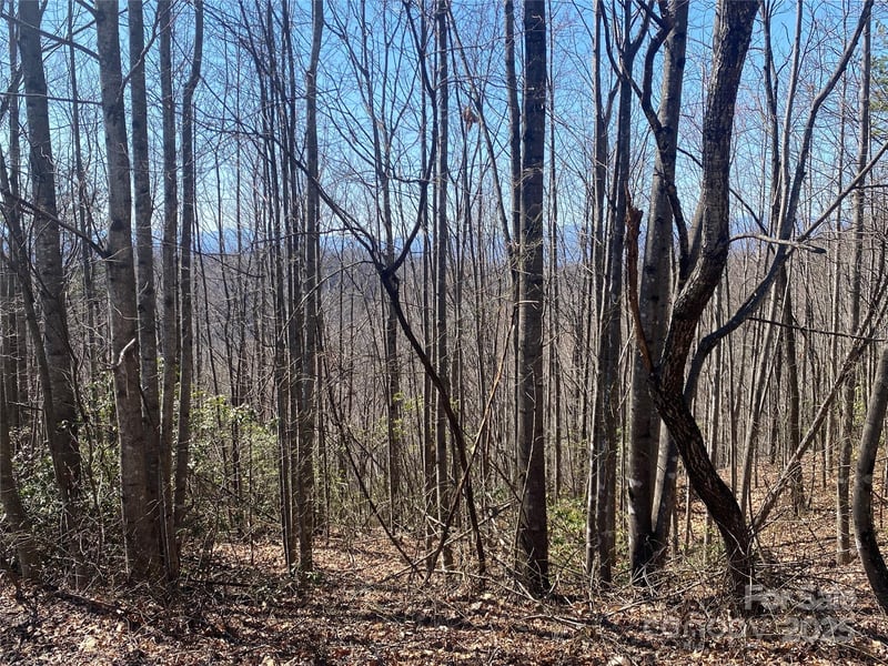 Lot 72 Mountain Crest Drive S, Marion, NC -  - $29,000