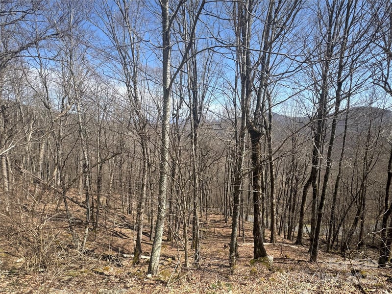 14 & 16 Overlook Drive, Mars Hill, NC -  - $42,900