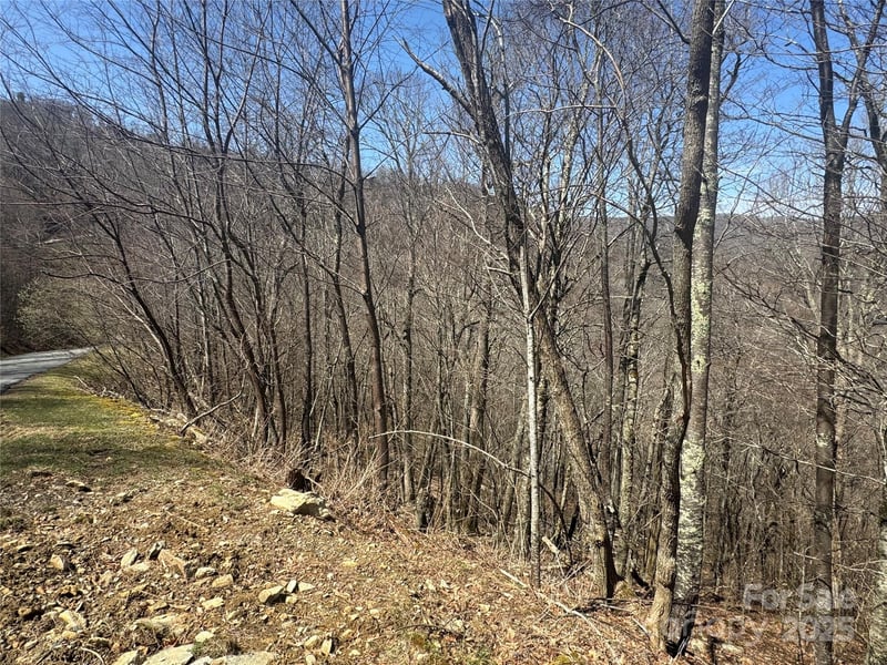 53 & 55 Running Cedar Drive, Mars Hill, NC -  - $69,900