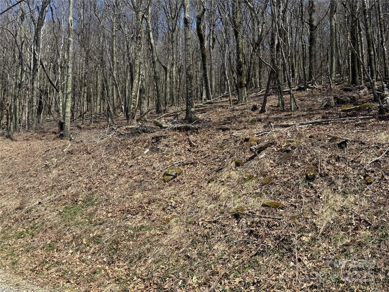 244 & 245 Grouse Thicket Lane, Mars Hill, NC -  - $69,900