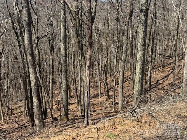 261 Grouse Thicket Lane, Mars Hill, NC -  - $27,900