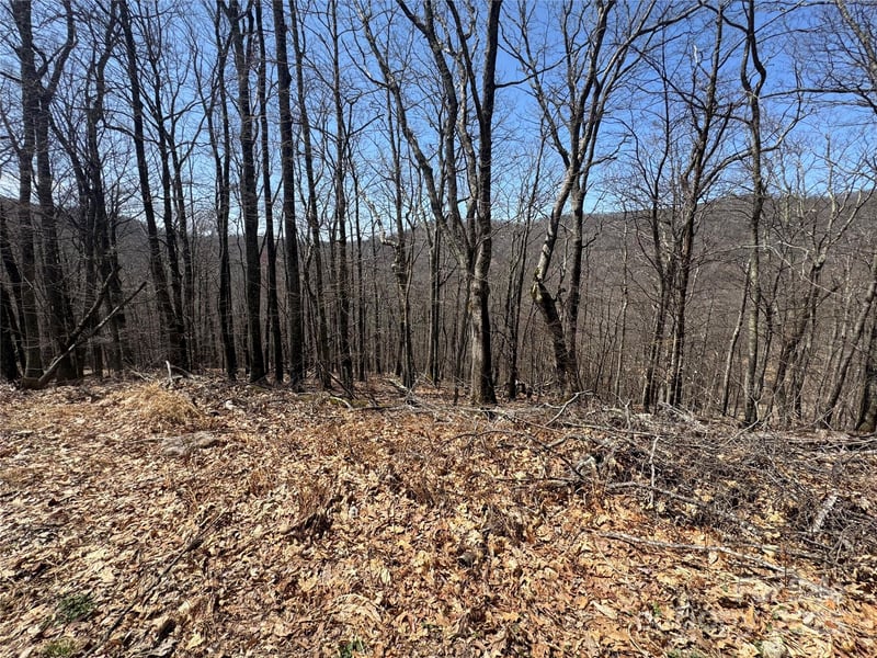 334-335-336 Hamlin Lane, Mars Hill, NC -  - $23,000