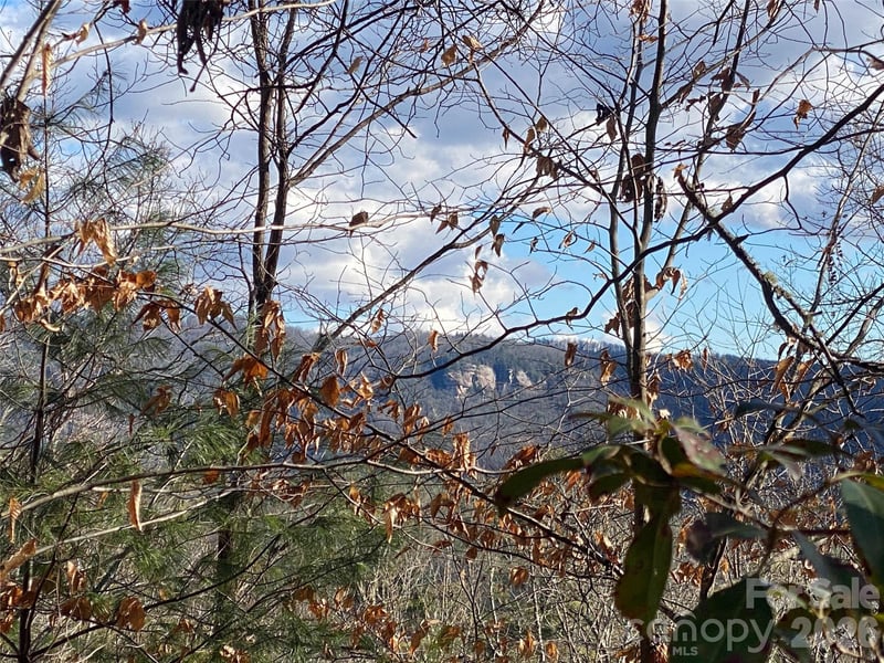 999 High Point Trail Apt 32, Brevard, NC -  - $89,000