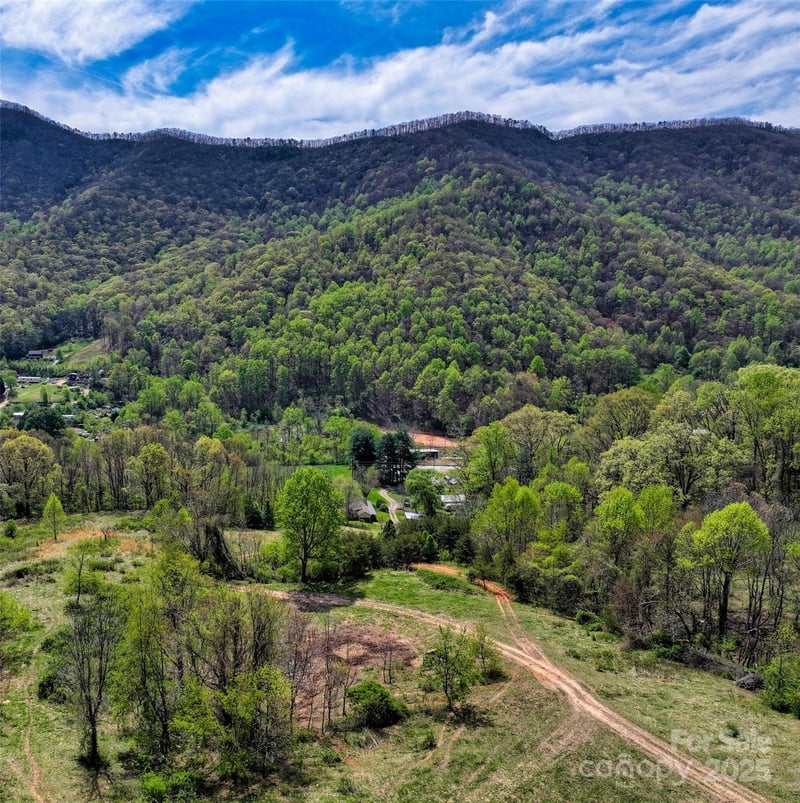 1567 Newfound Road, Leicester, NC -  - $695,000