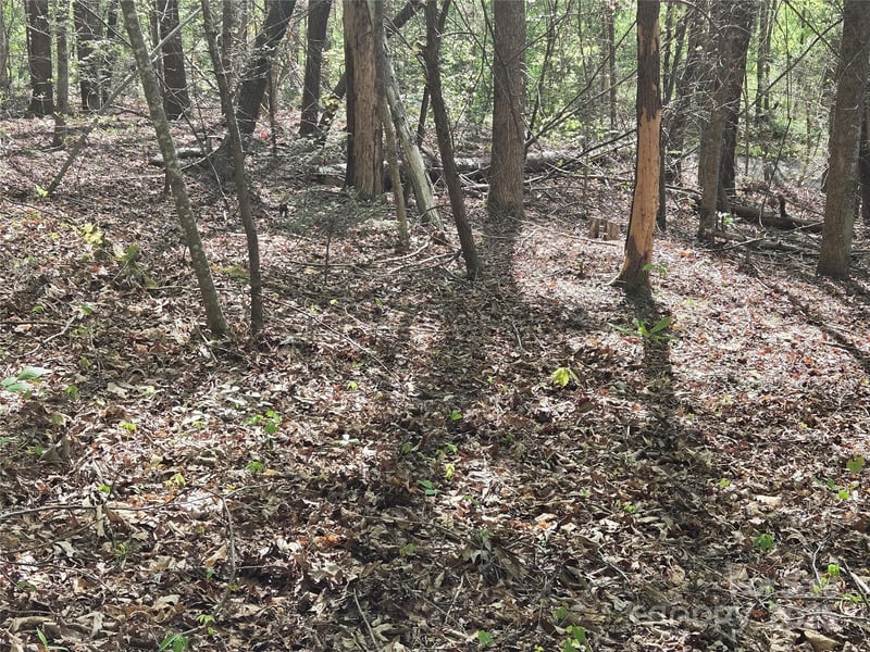 Lot 172 West Lake Drive N, Lake Lure, NC -  - $25,000
