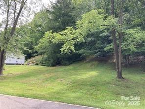 99999 Moffitt Branch Road, Asheville, NC -  - $195,000