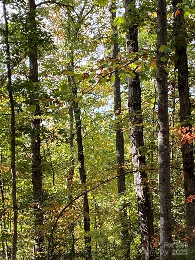 Lot 28 Mentink Way, Nebo, NC -  - $29,900