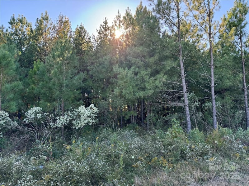 00 NE CONNECTOR ByPass, Albemarle, NC -  - $150,000