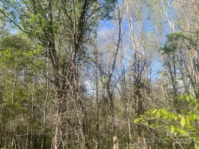 0 Bee Tree Road, Salisbury, NC -  - $79,999