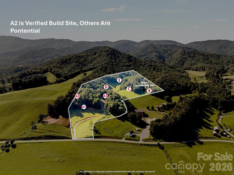 411 Big Sandy Mush Road, Leicester, NC -  - $996,300