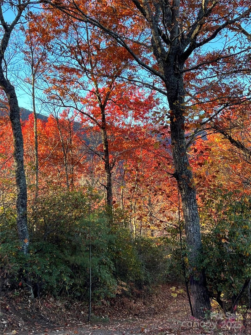 69 & 81 Winter Moon Ridge, Sylva, NC -  - $48,000