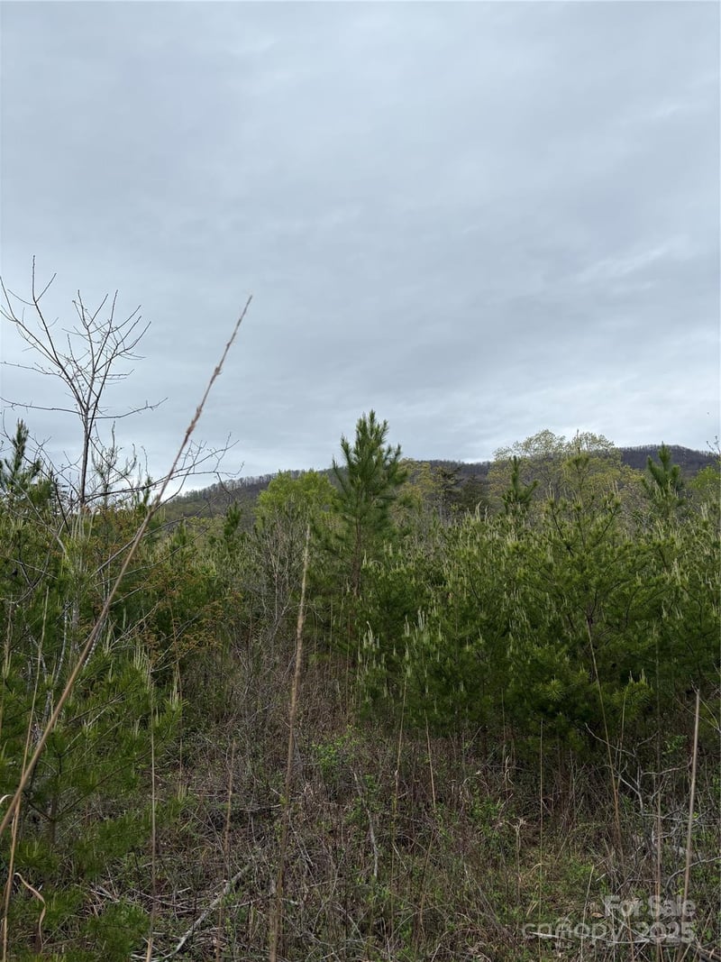 0 Rose Hollow Drive Tract 1, Mill Spring, NC -  - $349,900