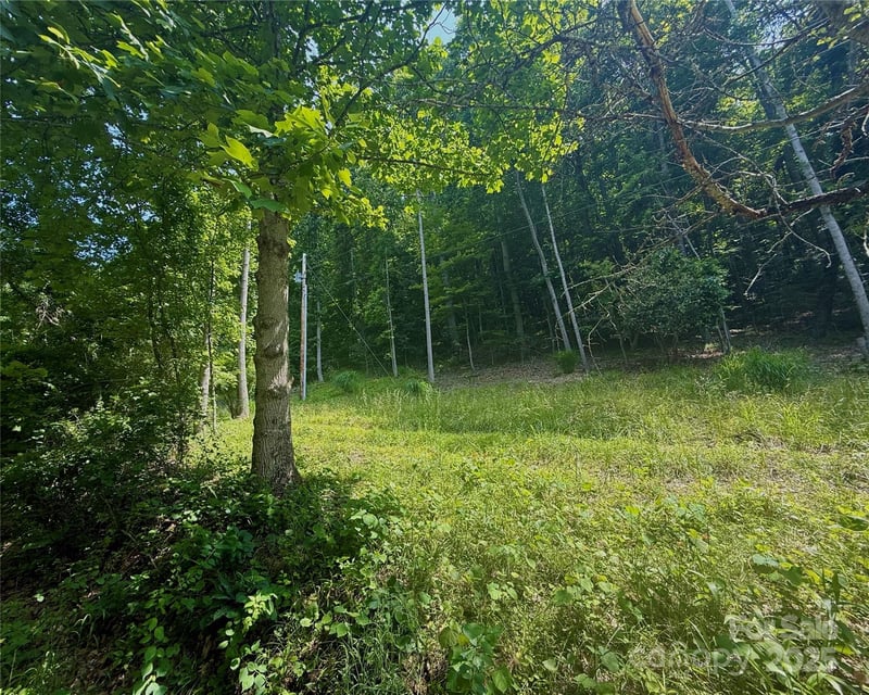 700 Wooded Mountain Trail, Mars Hill, NC -  - $50,000
