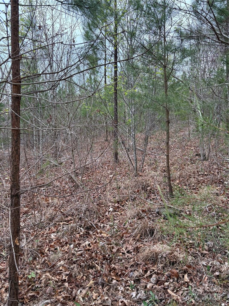 0 Rose Hollow Drive Tract 2, Mill Spring, NC -  - $58,312