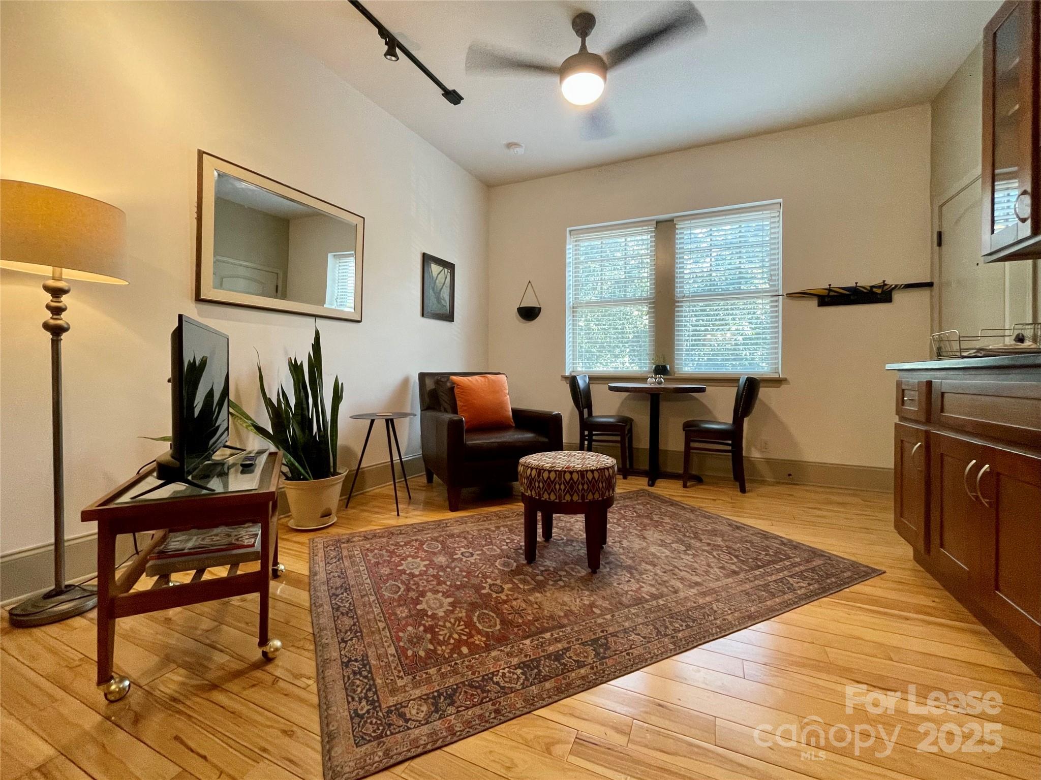 5 W Walnut Street Apt 202, Asheville, NC. property listing photo
