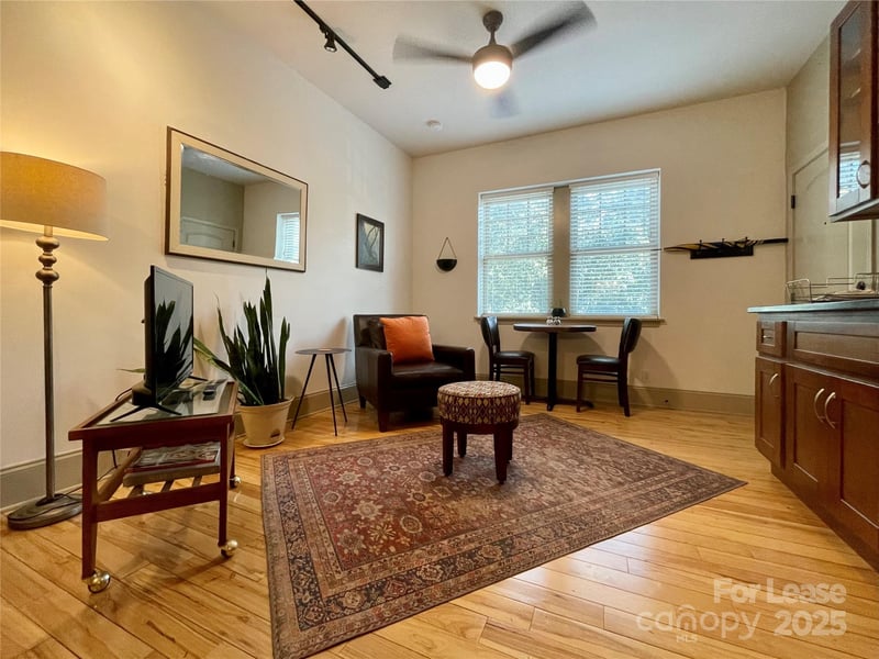 5 W Walnut Street Apt 202, Asheville, NC - 1 bed, 1 bath, 400 sqft - $2,400/mo