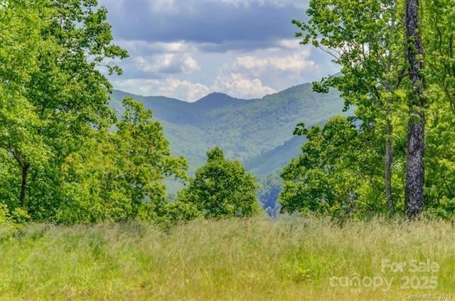 Lot 69 Whisper Mountain Drive, Leicester, NC -  - $139,500