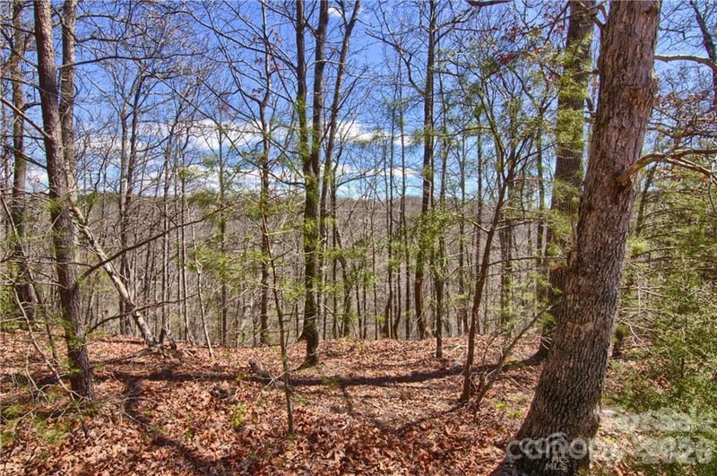 00 N Boundary Road 51/52, Mill Spring, NC -  - $200,000