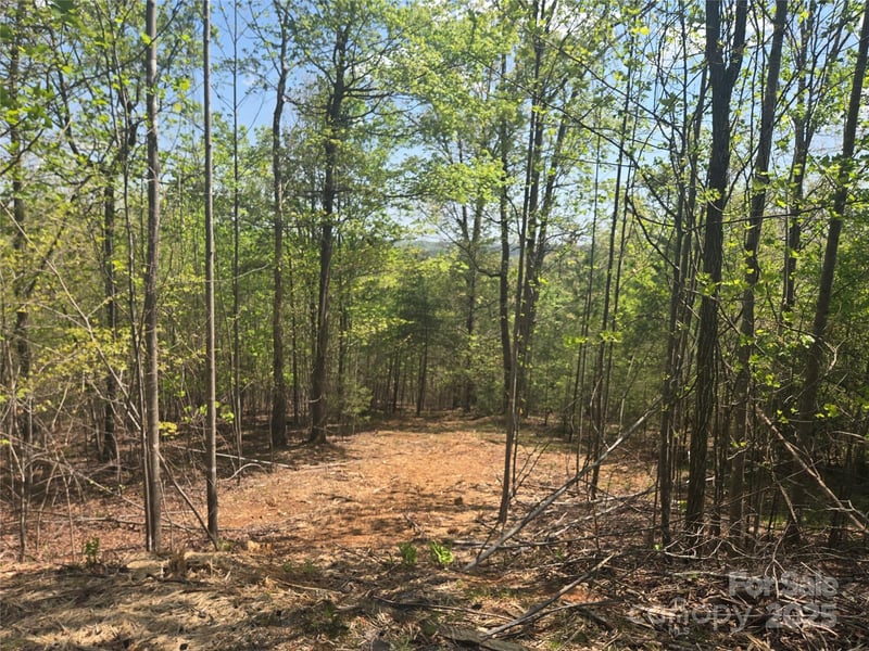 Lot 13 Back Hollow Drive, Lake Lure, NC -  - $112,000
