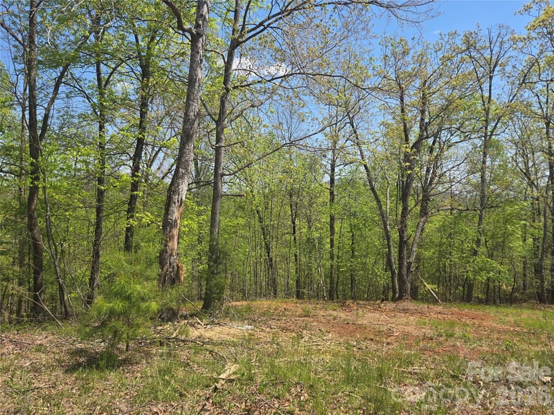 Lot 23 High Rock Ridge, Lake Lure, NC -  - $69,900