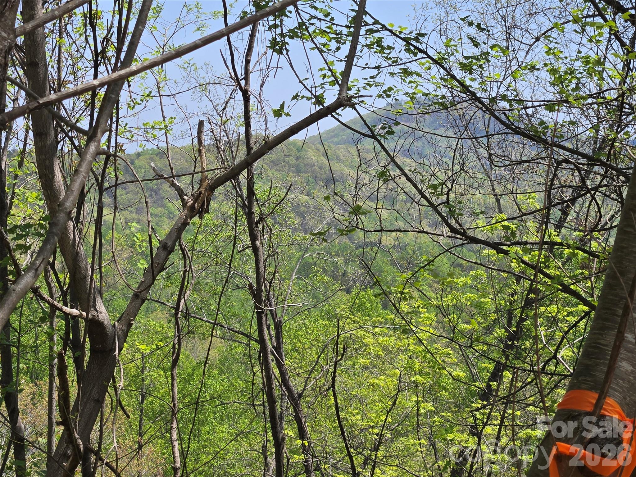 Lot 24 High Rock Ridge, Lake Lure, NC 28746. property listing photo
