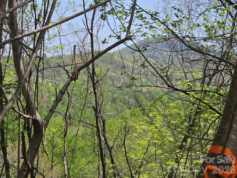 Lot 24 High Rock Ridge, Lake Lure, NC -  - $49,900