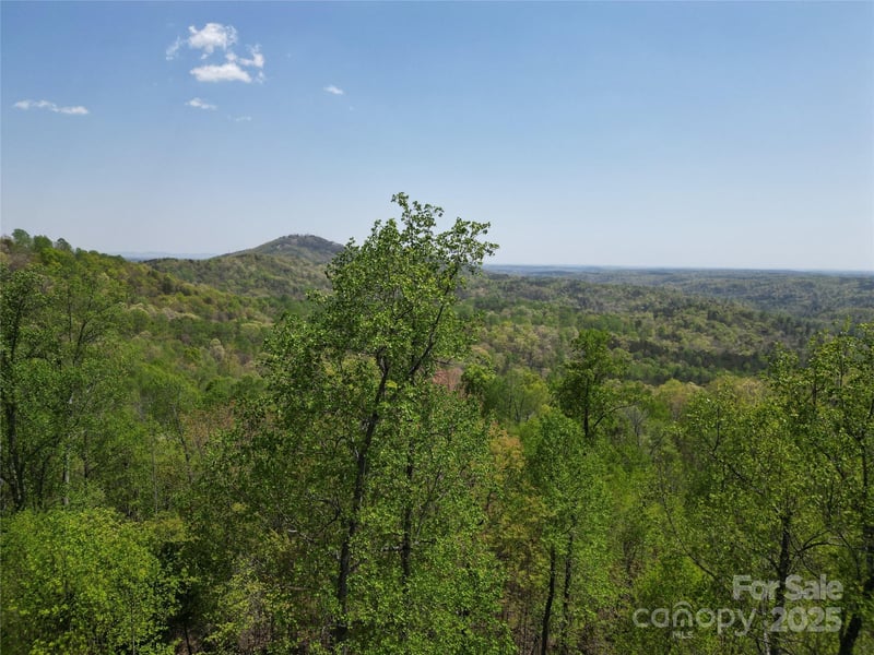Lot 25 High Rock Ridge, Lake Lure, NC -  - $35,000